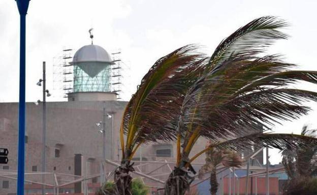 Imagen de archivo de un espisodio de viento en la capital grancanaria. 