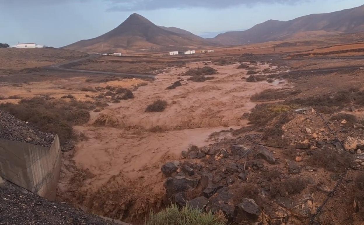 Barranco de Jaifa, en Puerto del Rosario, el 27 de enero. 