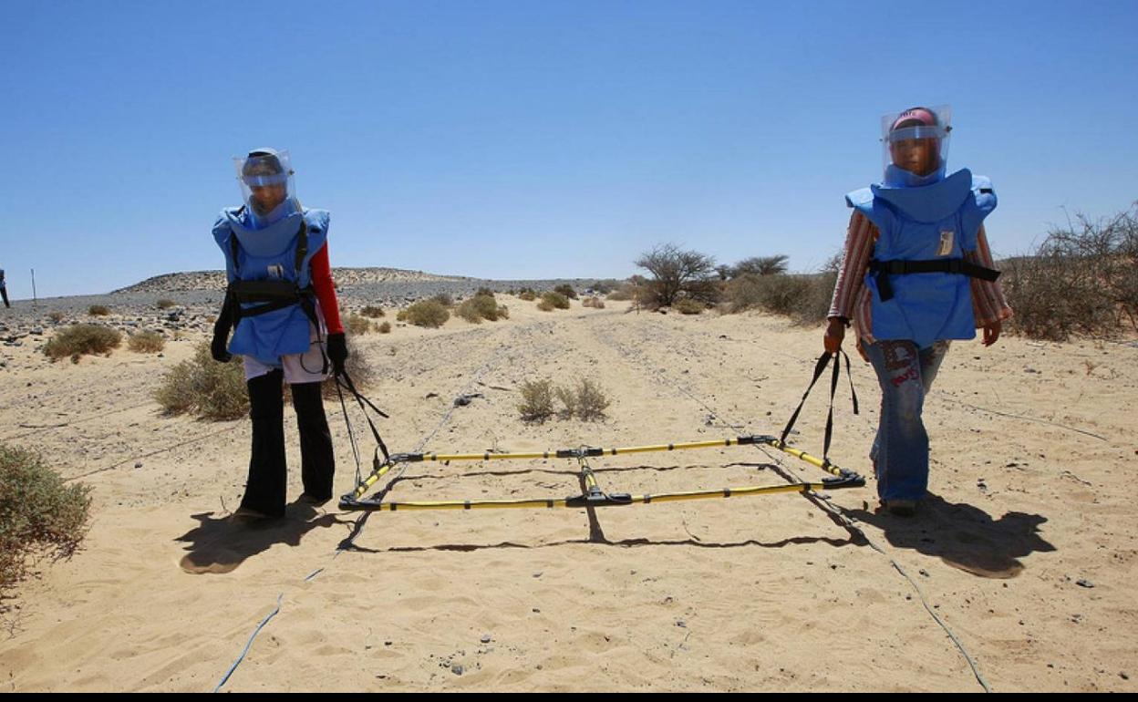 Dos operarias saharauis manejan un artefacto que puede encontrar minas a dos metros de distancia. 