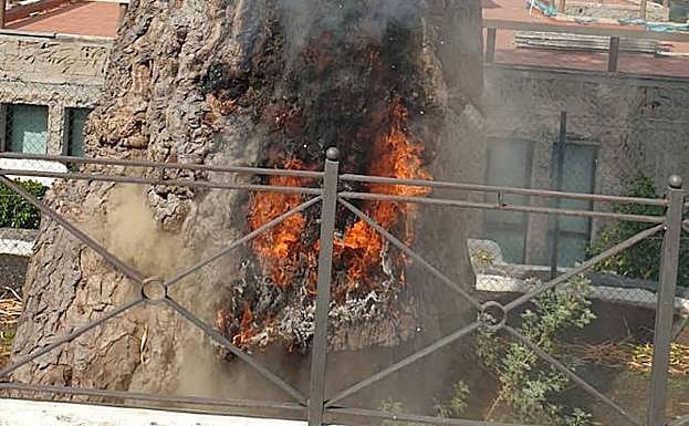 El drago ardiendo este jueves. 