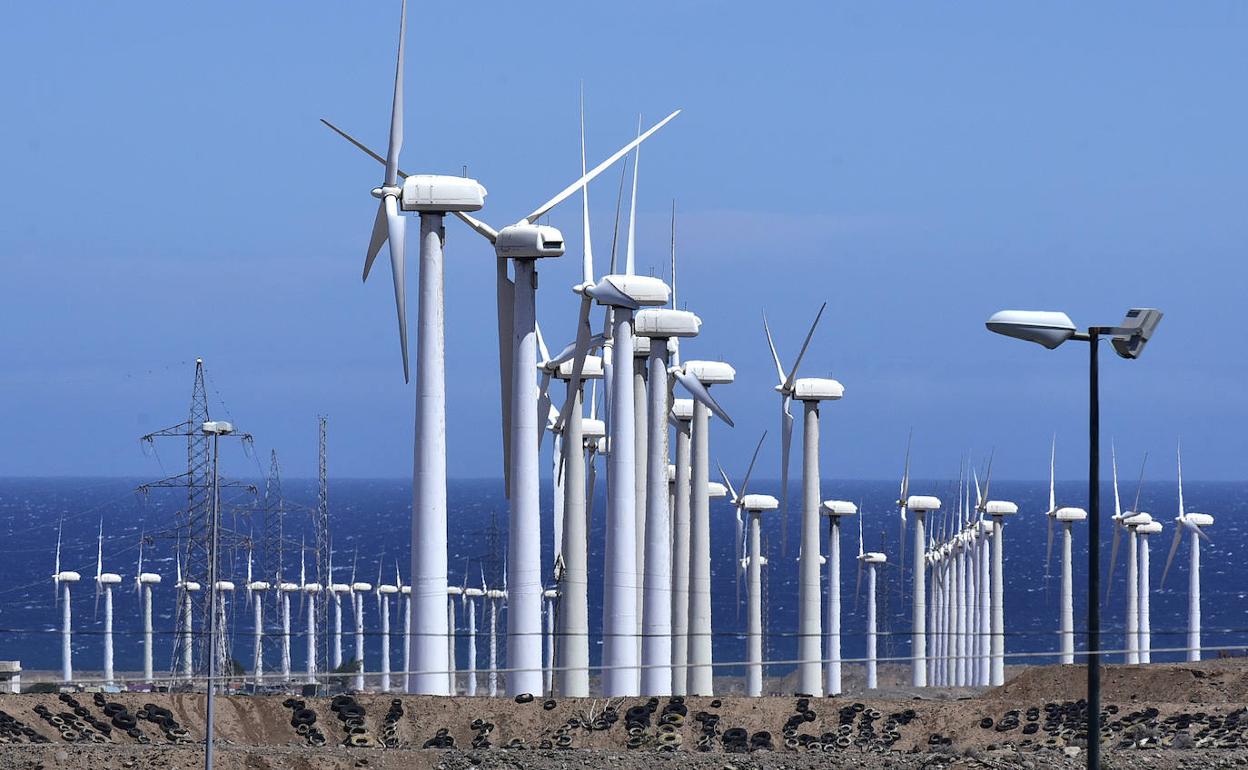 Vista de molinos en Santa Lucía de Tirajana. 