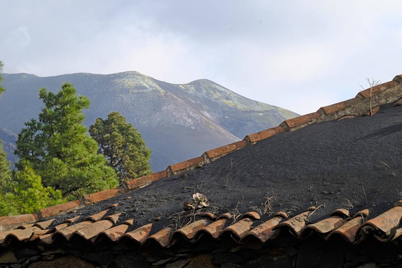 Fotos: Vista del volcán desde una zona de coladas