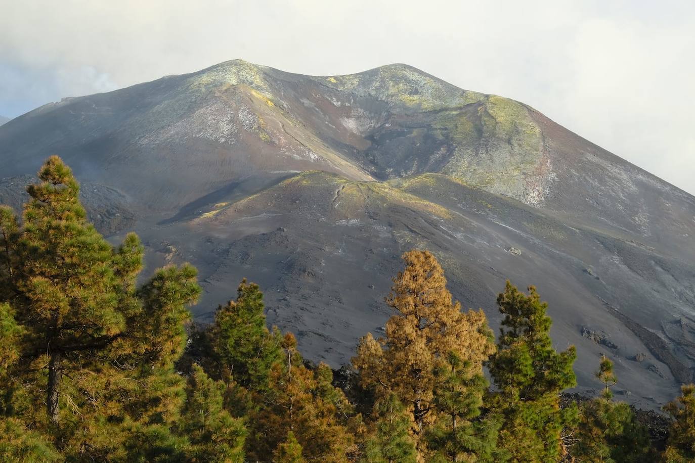 Fotos: Vista del volcán desde una zona de coladas