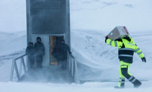 Un operario traslada una caja con semillas a la despensa del fiin del mundo en Svalbard. 