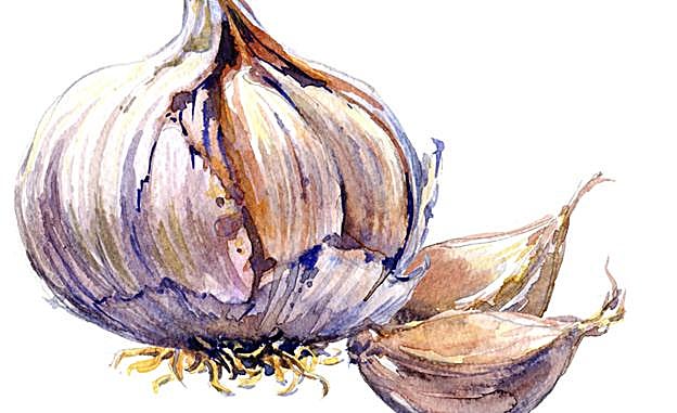 Ajo, por qué es un 'must' en nuestra cocina