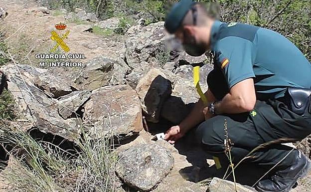 La Guardia Civil investiga a dos personas por un delito de abandono animal