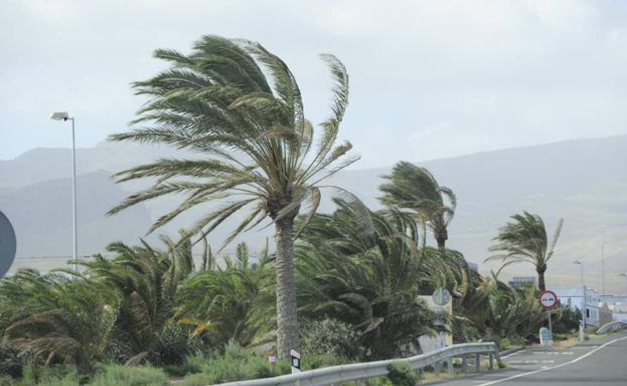 Siga estos consejos para prevenir incidentes por lluvia y viento