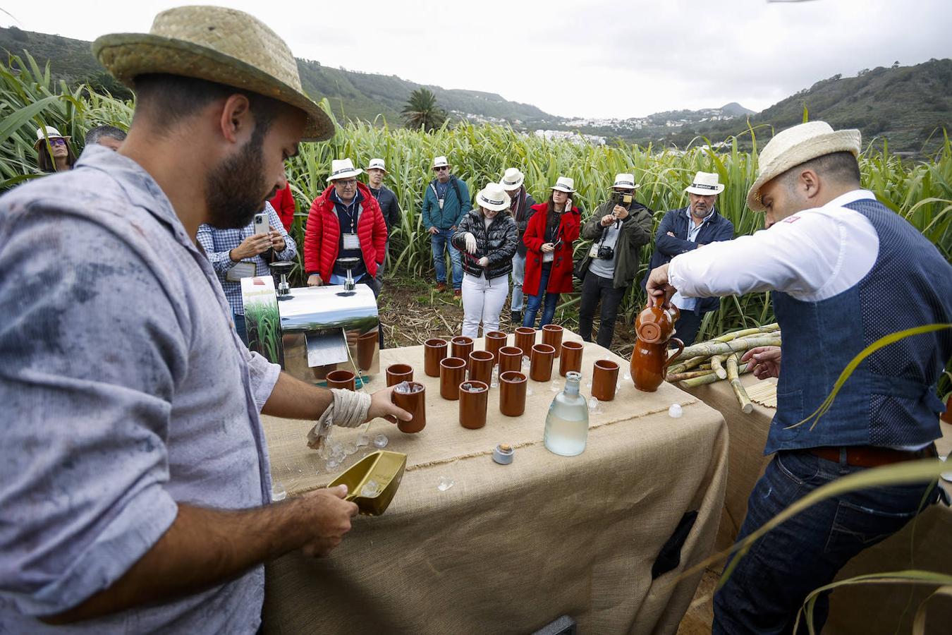 Fotos: Zafra de la caña de azúcar