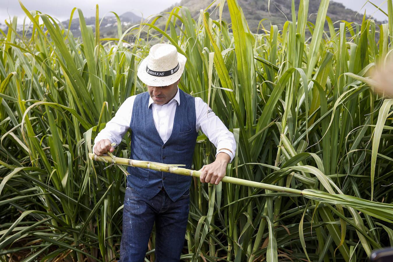 Fotos: Zafra de la caña de azúcar