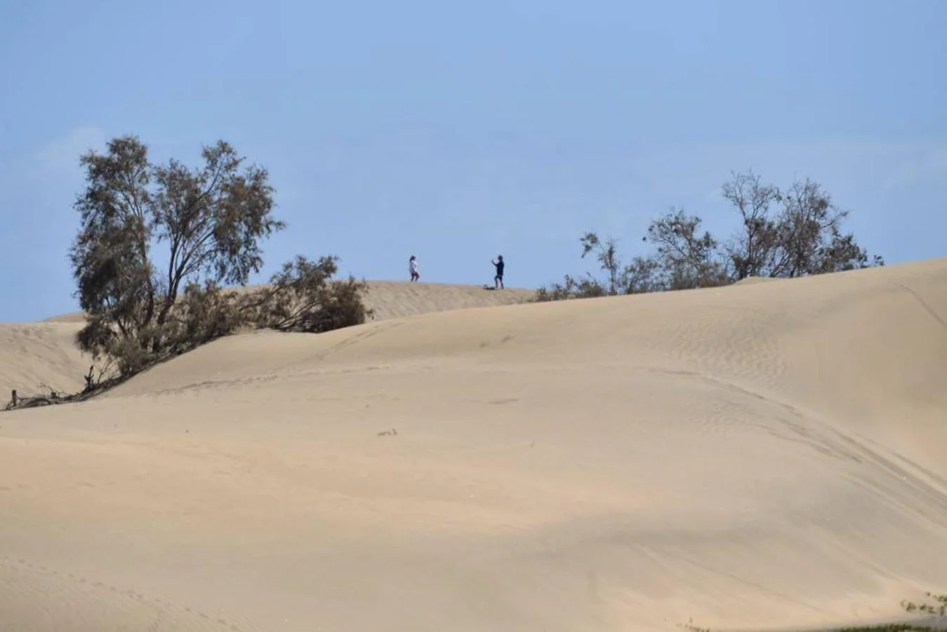 Fotos: Celia da paso a calima y buen tiempo en el sur