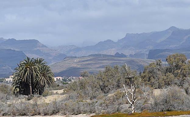 Imagen principal - Las imágenes soleadas de hoy en el sur de Gran Canaria contrastan con el paisaje de ayer en la cumbre. 