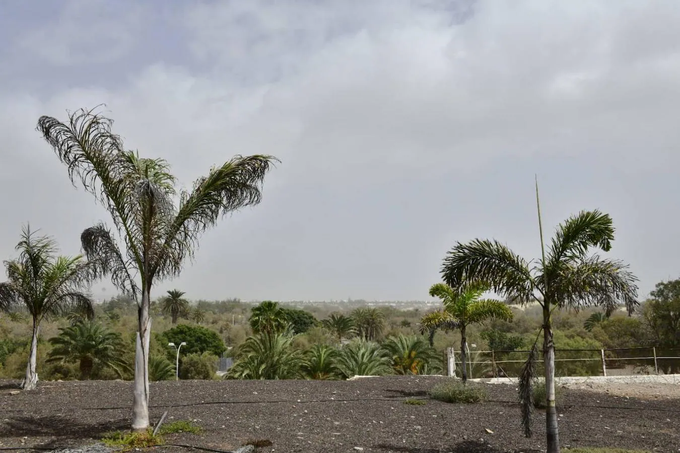 Fotos: La calima vuelve a cubrir Canarias