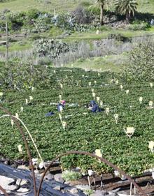 Imagen secundaria 2 - Imágenes del tiempo este jueves en Gran Canaria. 