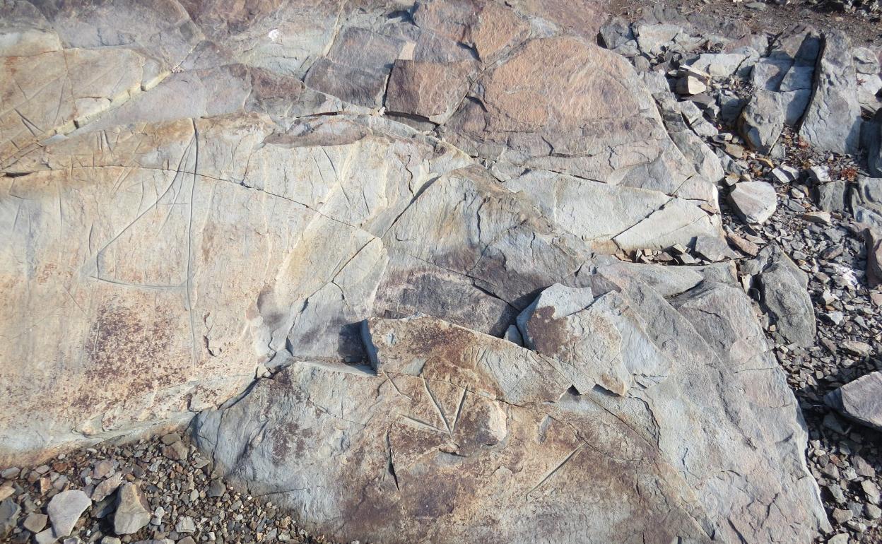 Algunos de los grabados rupestres que forman parte del yacimiento de la Mesa del Salinero, en San Bartolomé de Tirajana. 