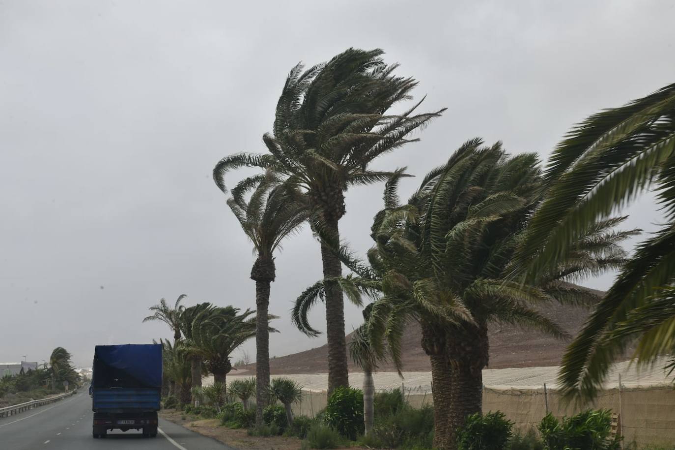 Fotos: Fuerte viento en el sureste de Gran Canaria