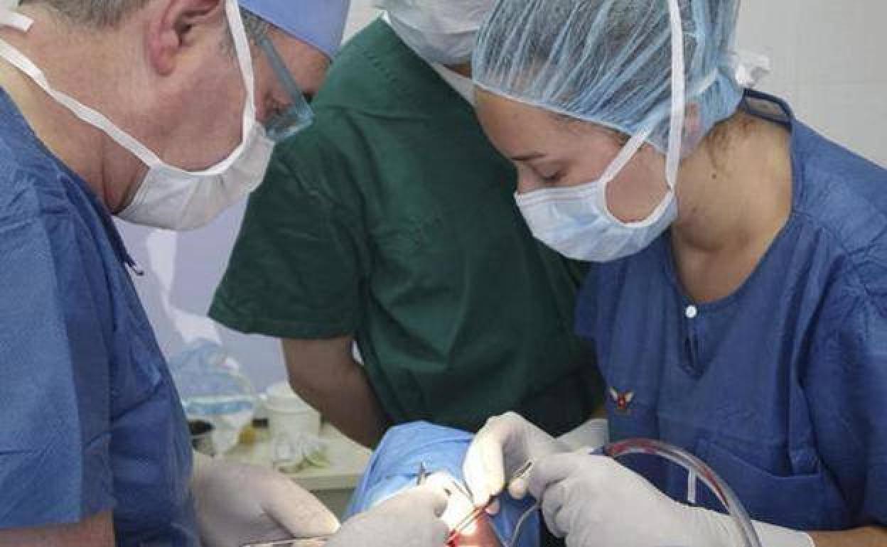 Sanidad citó a 119.368 personas para el diagnóstico precoz de cáncer de colon y recto