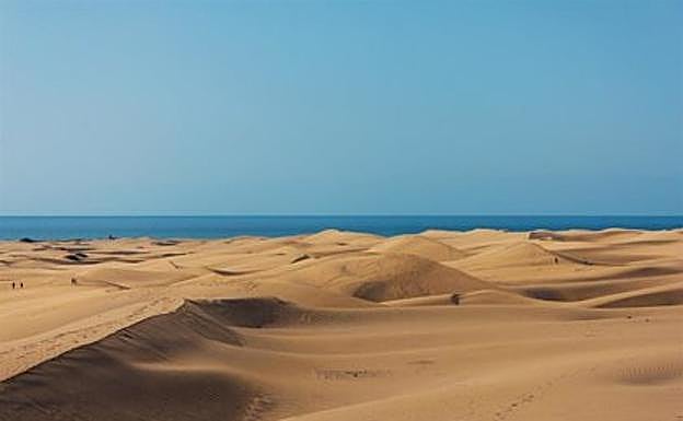 Las Dunas de Maspalomas. 