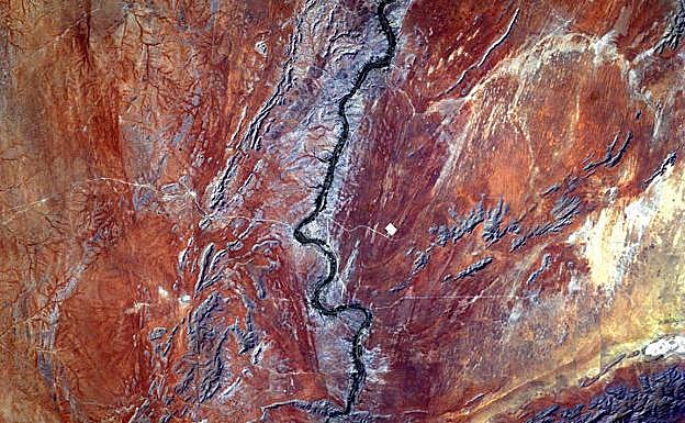 La otra imagen finalista de este concurso: el desierto del Kalahari, en el sur de África. 