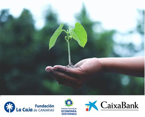 CaixaBank y la Fundación La Caja de Canarias abren el plazo de presentación de los 'Premios Canarias de Economía Sostenible 2021'