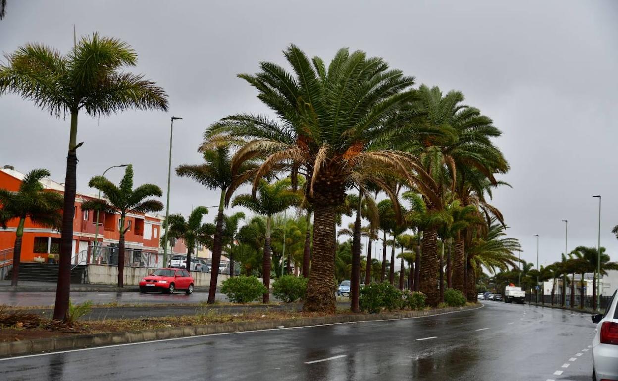 Decretado el fin de la alerta por vientos en Canarias