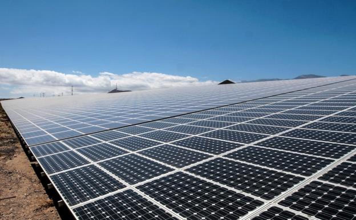 Placas solares, en una foto de archivo. 