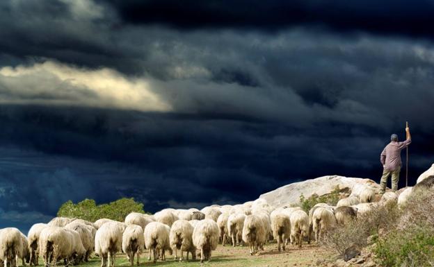 La falta de relevo generacional y la dureza del trabajo vienen reduciendo el número de pastores de la isla. 