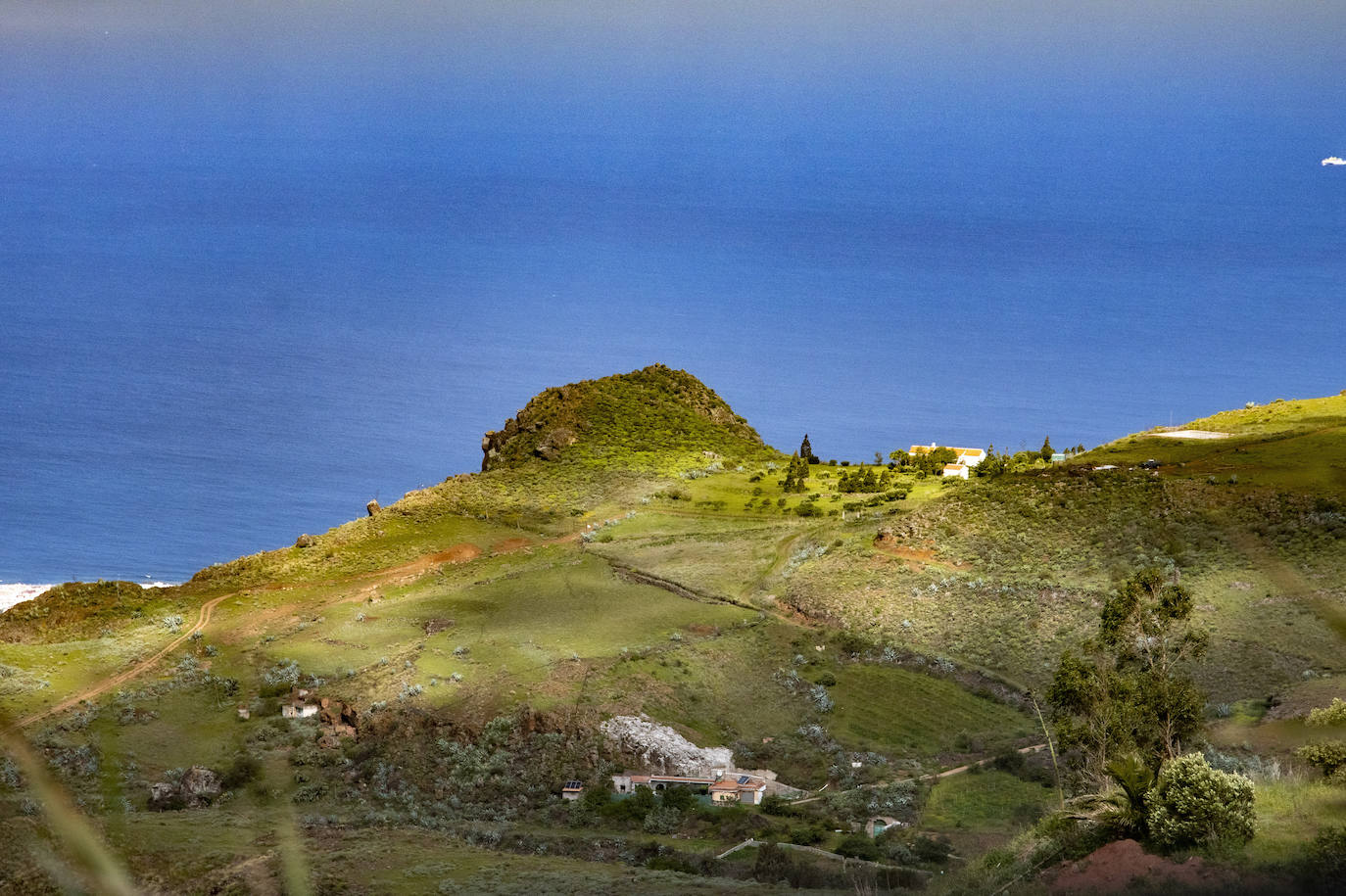 Fotos: Medianías y cumbre de Gran Canaria se tornan verdes