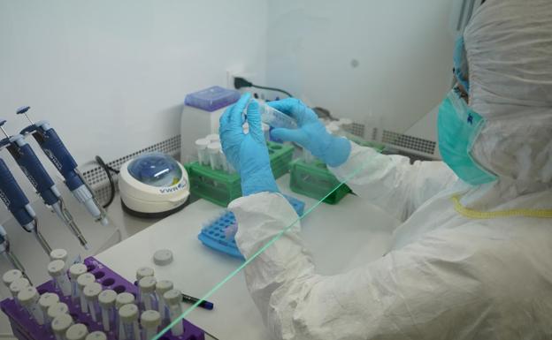 Rosa Fregel, doctora en Biología que realizó el estudio del ADN antiguo de los restos óseos. 