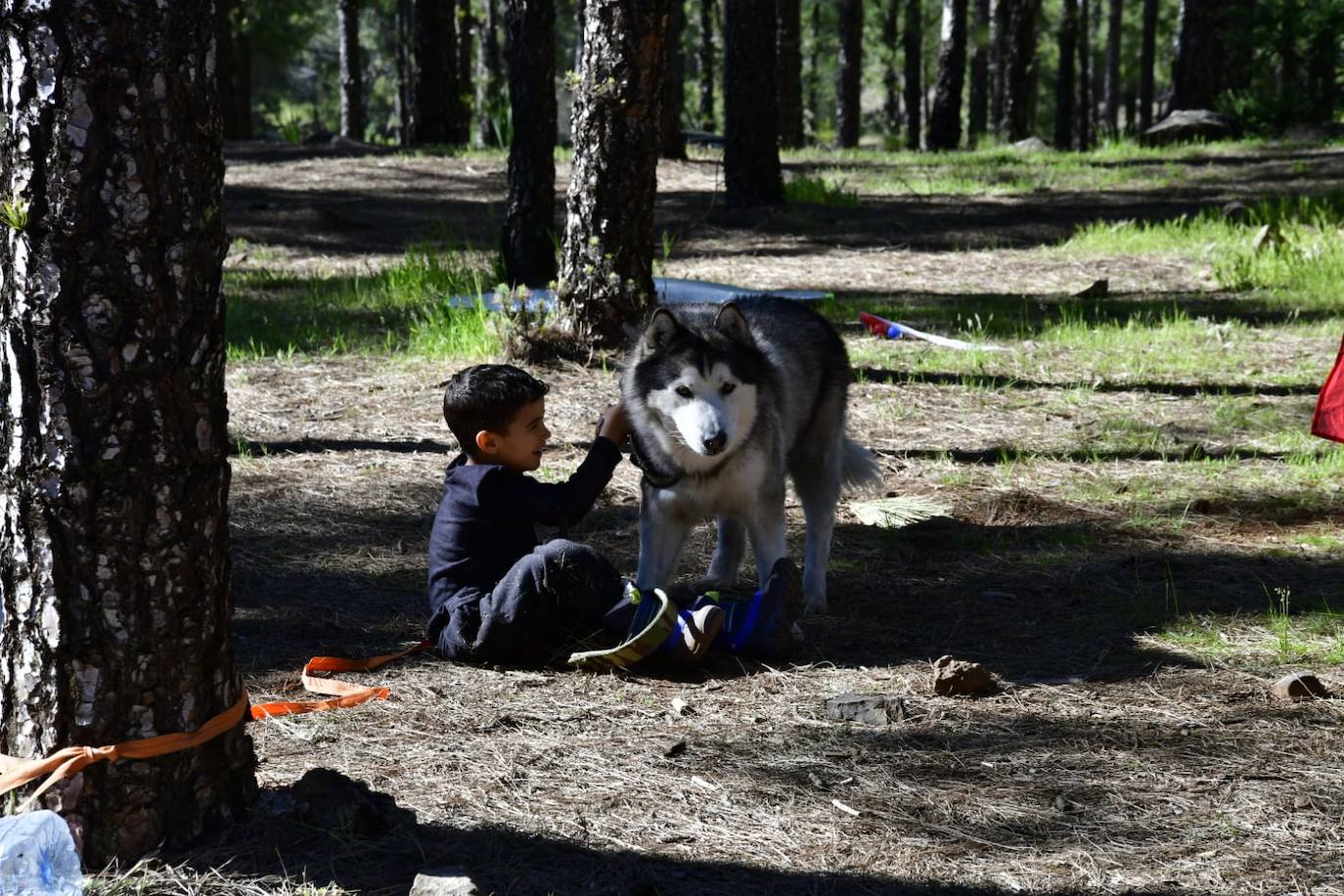 Fotos: Semana Santa de acampada en Gran Canaria