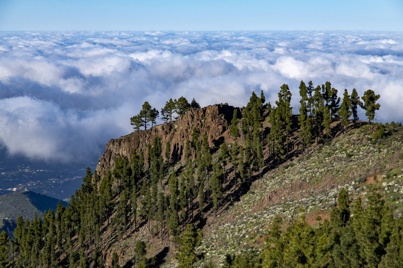 Fotos: Gran Canaria, espectáculo de piedra