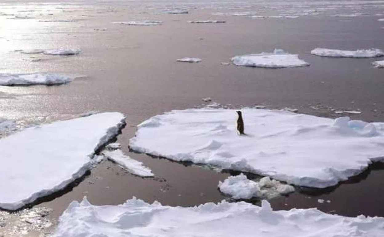 La Antártida registra sus niveles más bajos de hielo