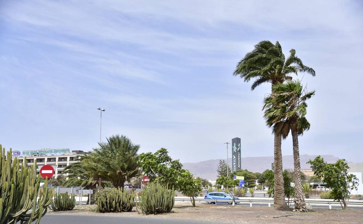 Consulte el tiempo que hará este miércoles en Canarias