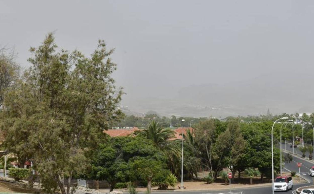 Consulte el tiempo que hará en Canarias este jueves