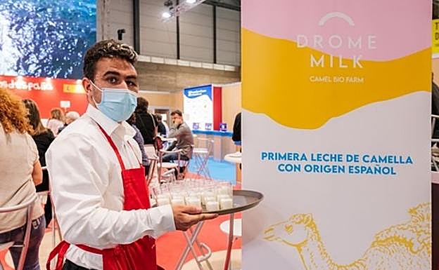 Camarero con vasos de leche de camella para degustar. 