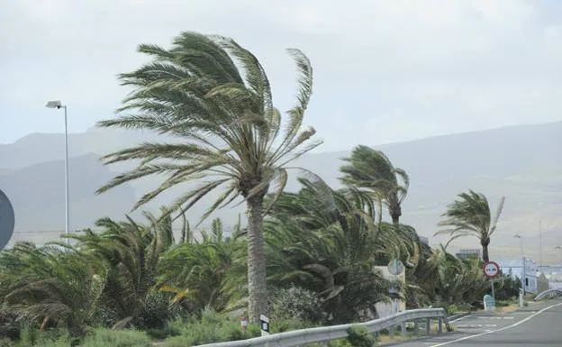 Episodio de viento en Gran Canaria. 
