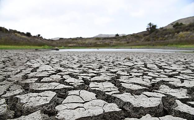 Fotofrafía de las Charcas de San Lorenzo, afectadas por la falta de agua. 