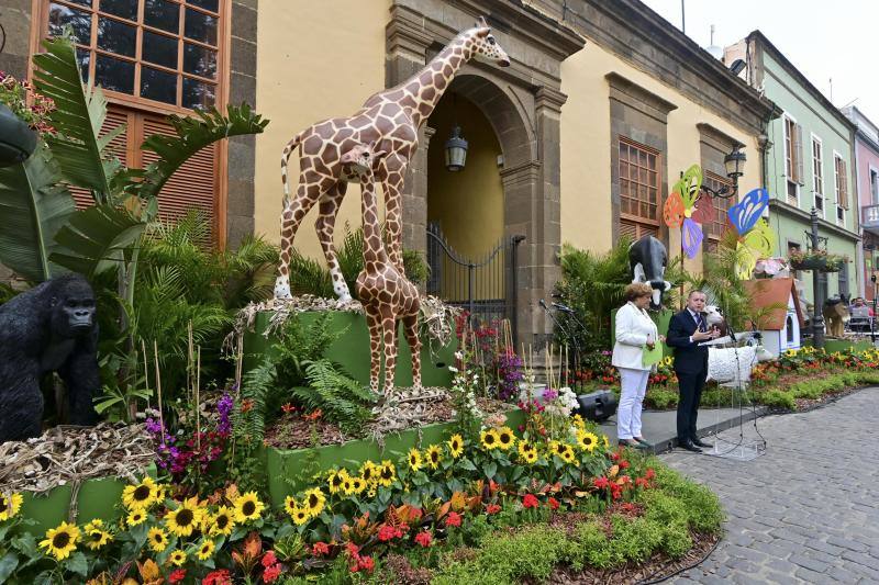 Fotos: Más de 11.000 flores y plantas dan color Gáldar