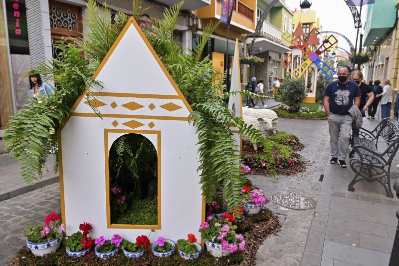 Fotos: Más de 11.000 flores y plantas dan color Gáldar