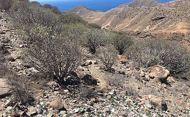 Vista general de una parte del tabaibal en el que se siguen vertiendo escombros y basuras. 