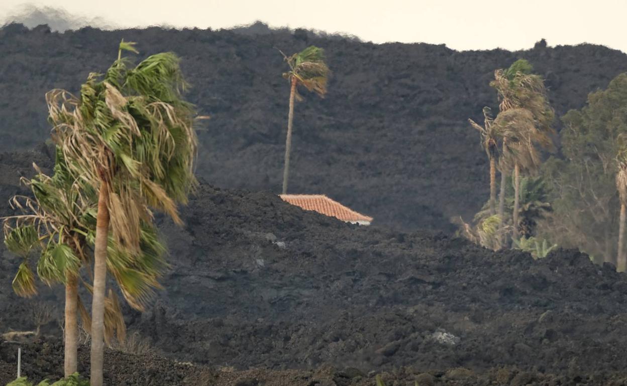 El Cruce de La Laguna