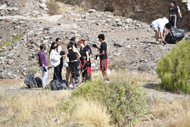 Fotos: Alumnado del IES Josefina de la Torre le dan una batida al barranco del Polvo