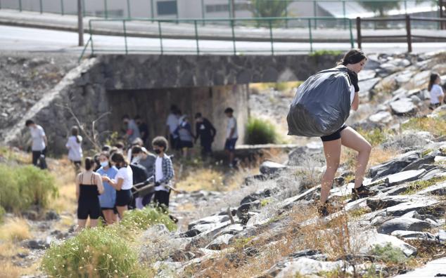 Fotos: Alumnado del IES Josefina de la Torre le dan una batida al barranco del Polvo