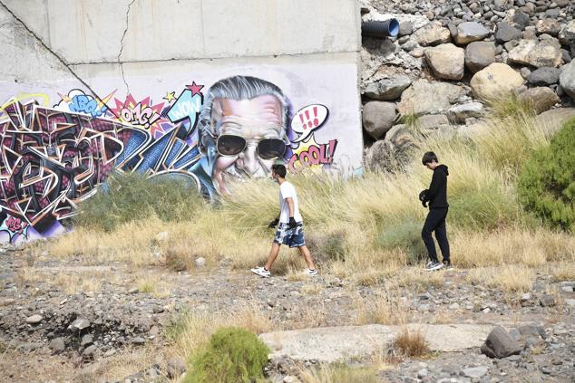 Fotos: Alumnado del IES Josefina de la Torre le dan una batida al barranco del Polvo