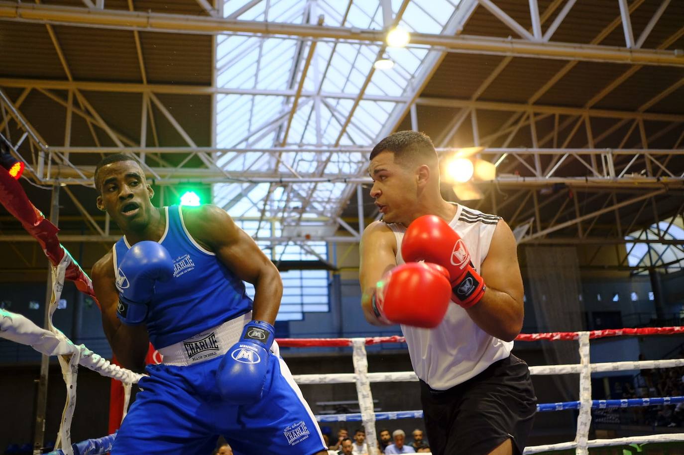 Fotos: La Copa Ciudad de Las Palmas de Gran Canaria de boxeo llenó el Juan Beltrán Sierra