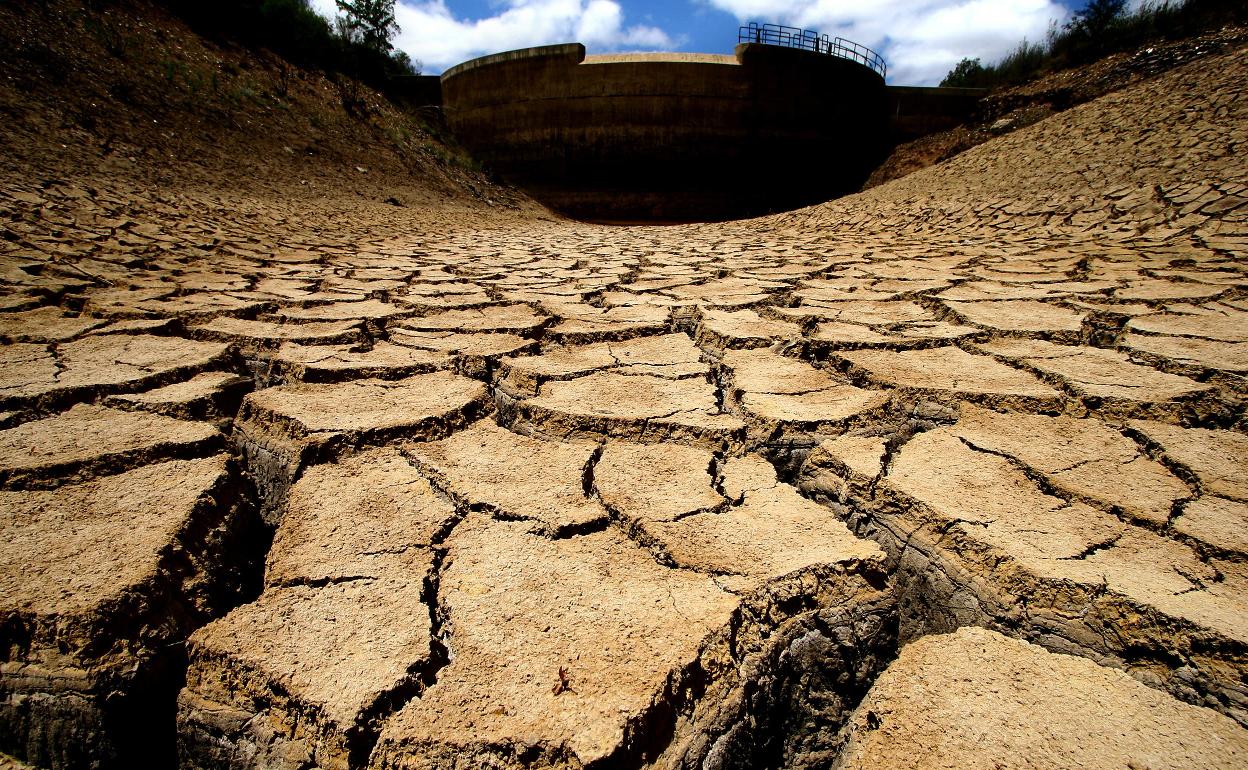 España corre un «serio riesgo de desertificación»