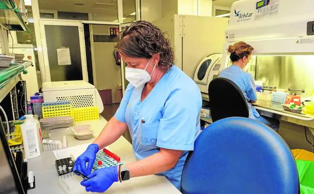 Imagen de archivo del Servicio de Microbiología del Hospital de Gran Canaria Doctor Negrín. 