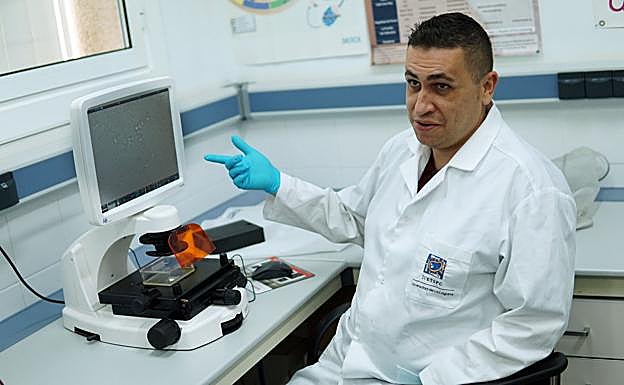 Jacob Lorenzo, director del Instituto de Enfermedades Tropicales y Salud Pública de la ULL. 