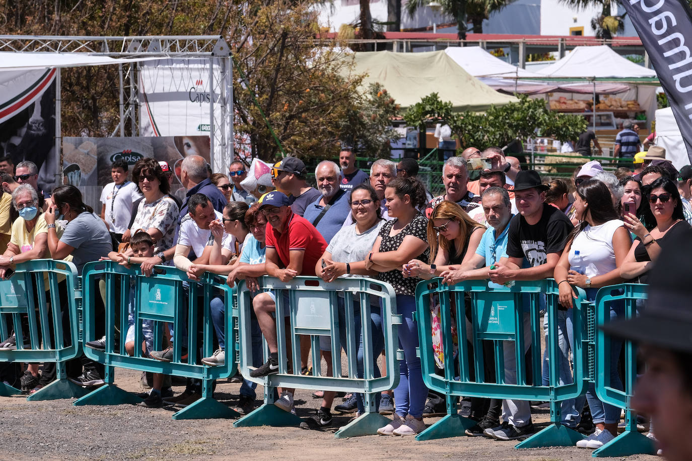 Fotos: Feria de Ganado en Gran Canaria