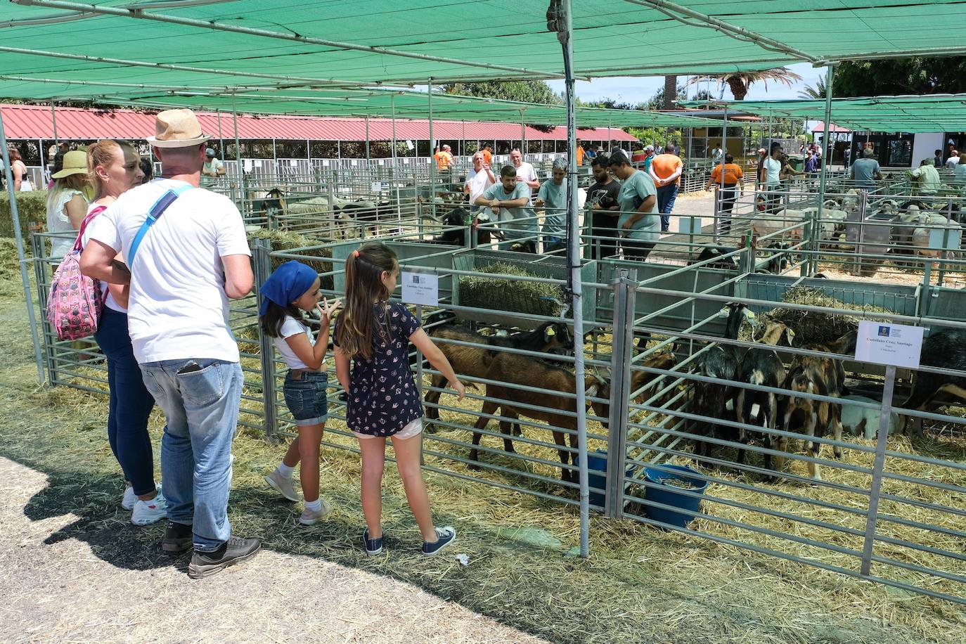 Fotos: Feria de Ganado en Gran Canaria