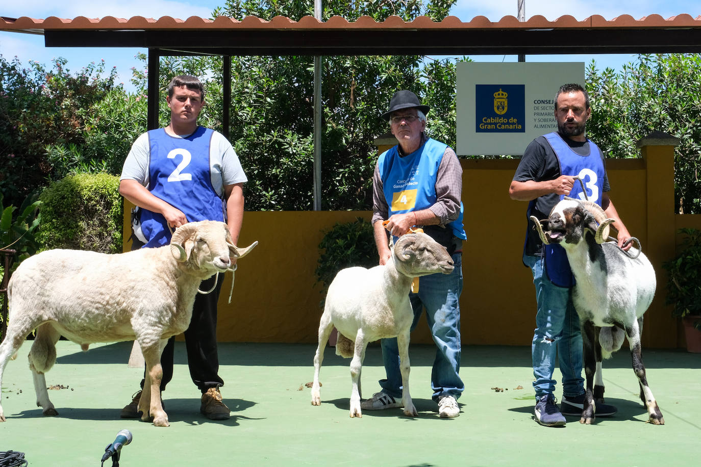Fotos: Feria de Ganado en Gran Canaria